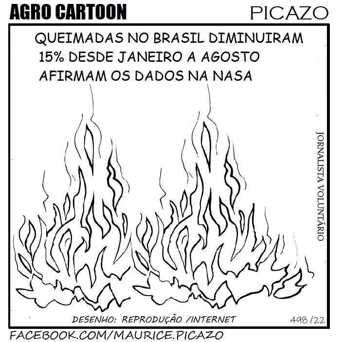 AgroNotícias por Mauricio Picazo Galhardo