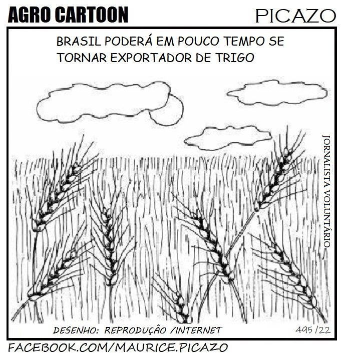 AgroNotícias por Mauricio Picazo Galhardo