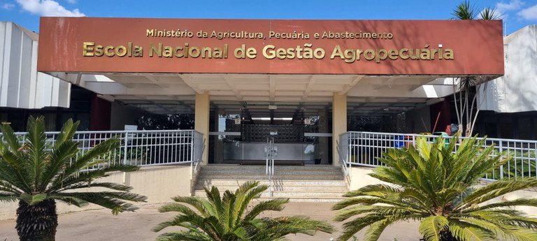 Brasiliana por Mauricio Picazo Galhardo