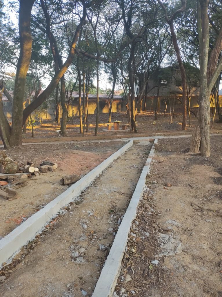 Moradora denuncia ações no Bosque Alceu Geribello