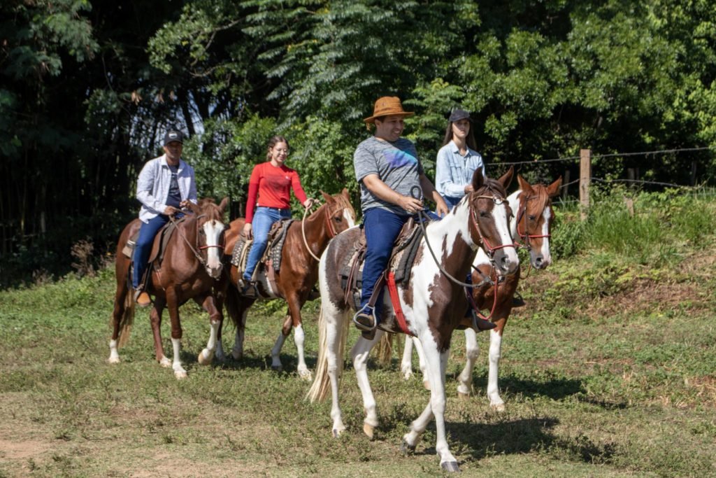 Sindicato Rural de Itu oferece 12 cursos gratuitos