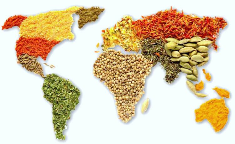 Brasiliana por Mauricio Picazo Galhardo