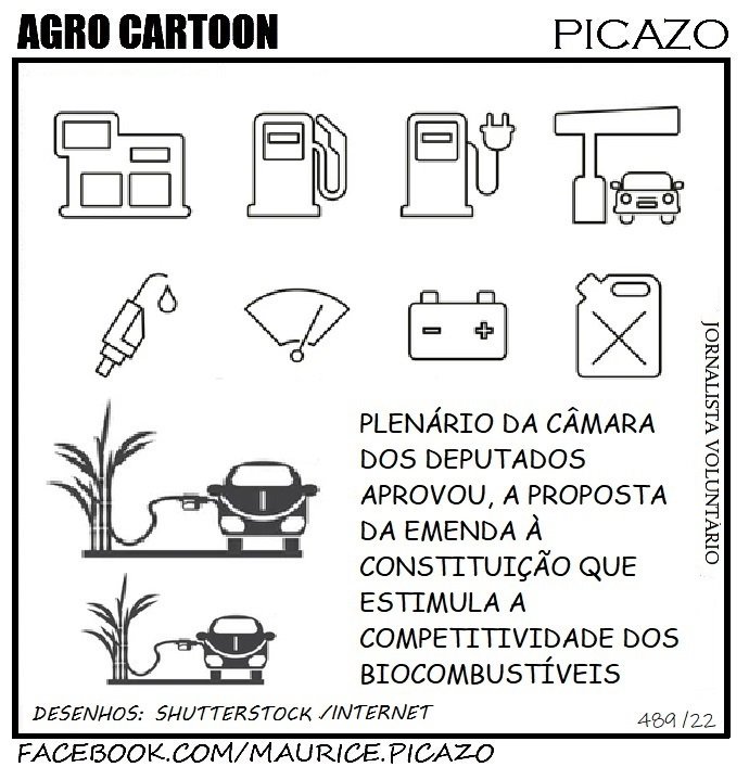 AgroNotícias por Mauricio Picazo Galhardo