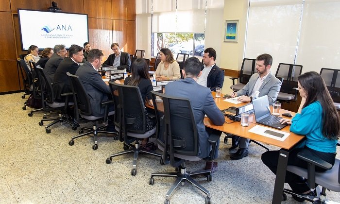 Brasiliana por Mauricio Picazo Galhardo