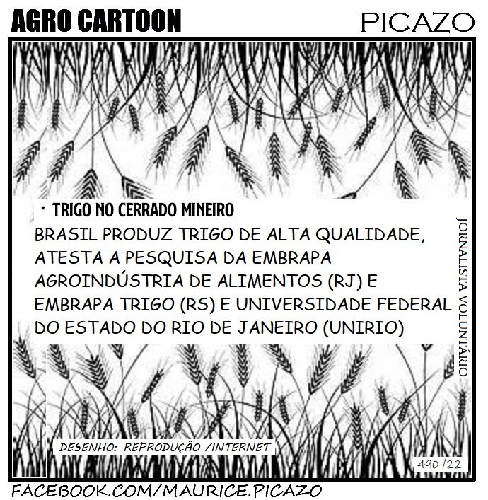 AgroNotícias por Mauricio Picazo Galhardo