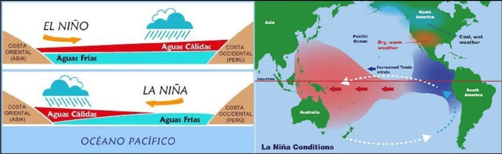 Brasiliana por Mauricio Picazo Galhardo