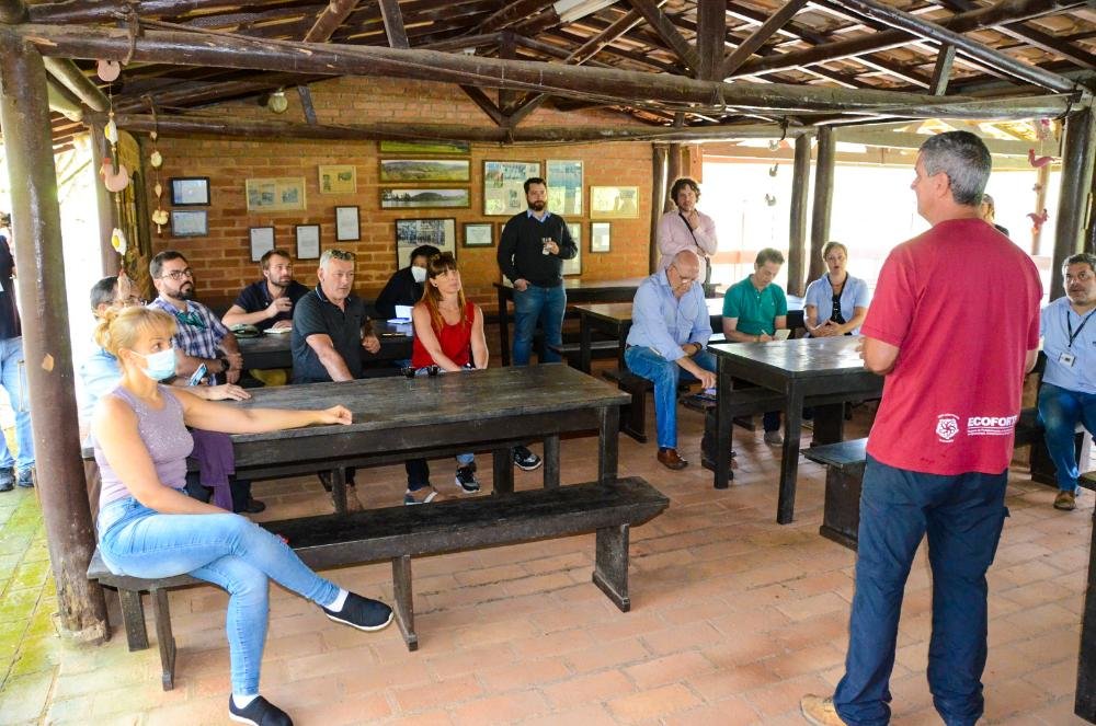 Brasiliana por Mauricio Picazo Galhardo