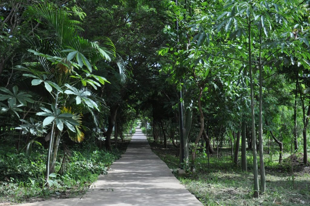 Caça ao tesouro, trilha e Desafio Minecraft são atrações da Semana da Conscientização Turística; confira a programação