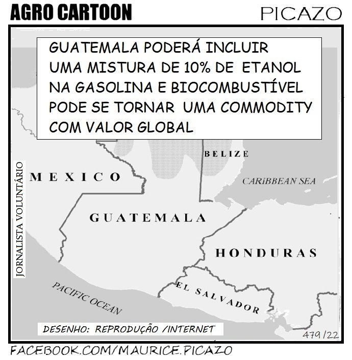 AgroNotícias por Mauricio Picazo Galhardo