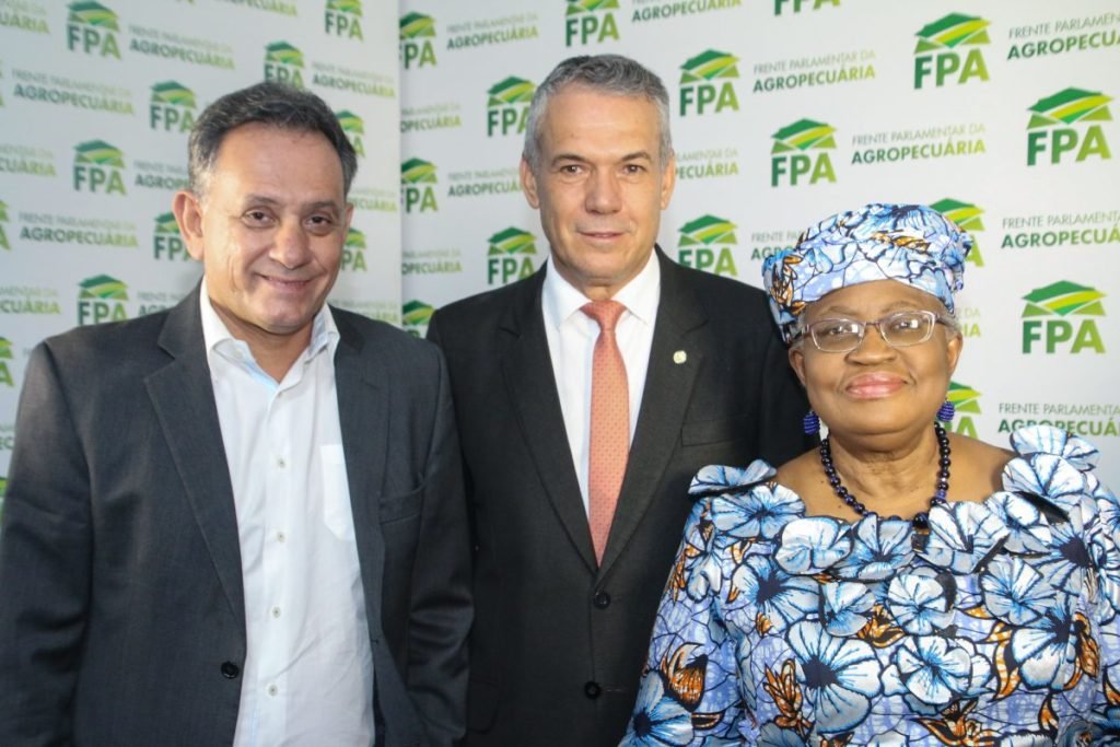 Brasiliana por Mauricio Picazo Galhardo