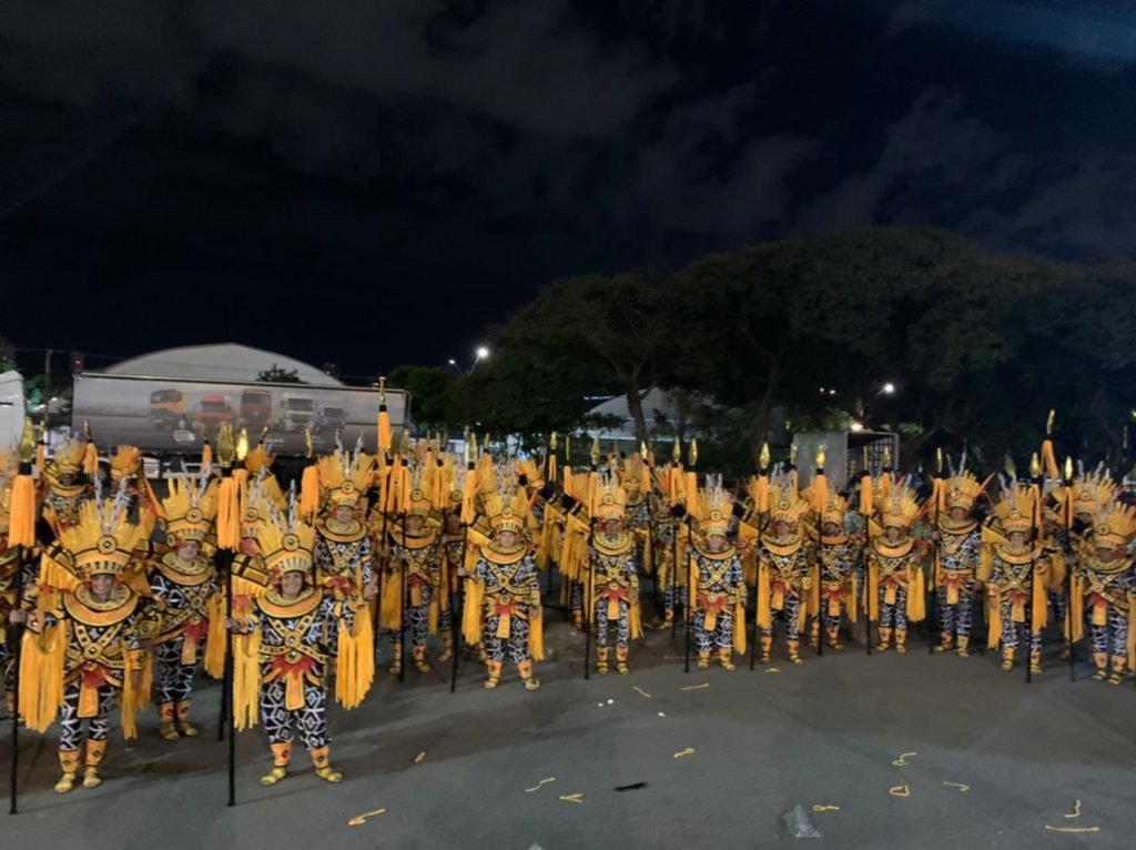 Foliões falam sobre a emoção de desfilar