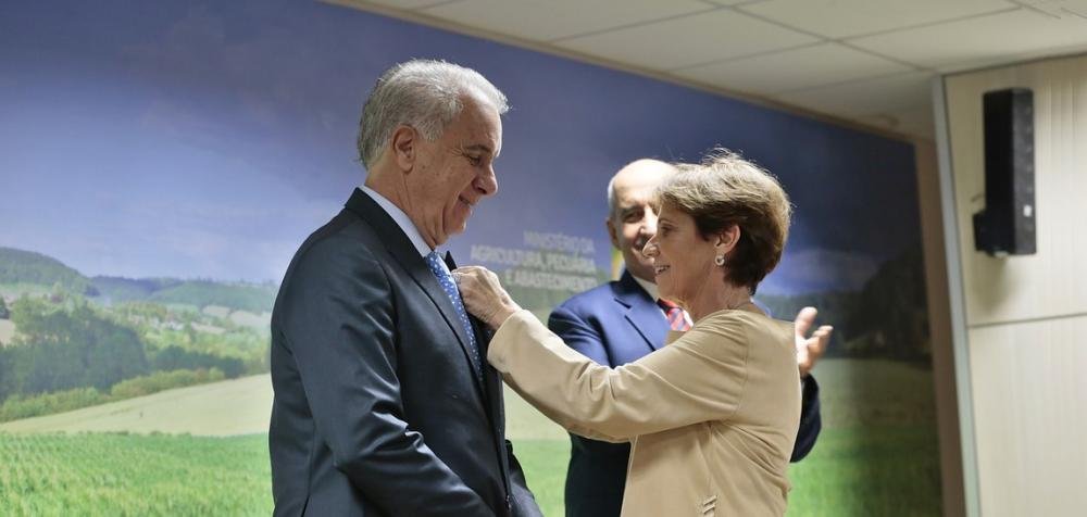 Brasiliana por Mauricio Picazo Galhardo