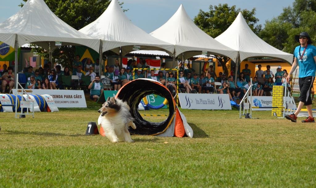 Clube de Cãompo sedia o campeonato FCI Agility Américas &#038; Caribe 2022