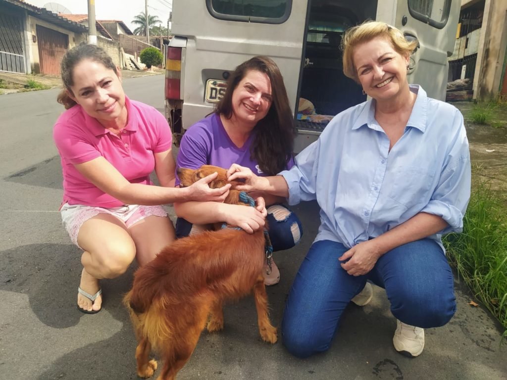 Cachorro abandonado é, finalmente, resgatado por protetora de Cabreúva