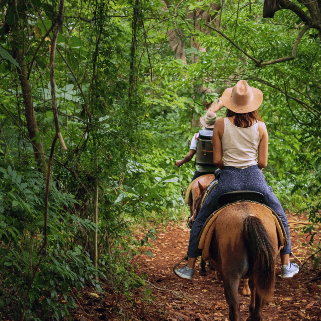 Sindicato Rural de Itu oferece curso gratuito de equitação