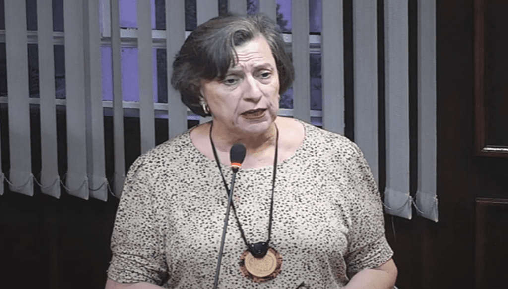 Vereadores devem convocar secretário de Educação para explicar vídeo de creche que mostram crianças chorando