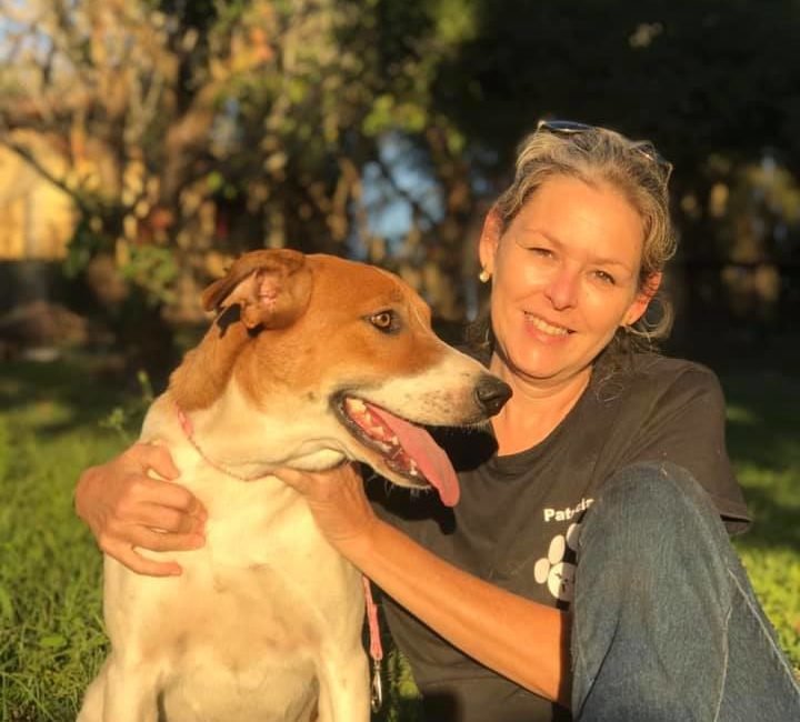 Vereadores vão discutir projeto que autoriza espaços para pets em comércios