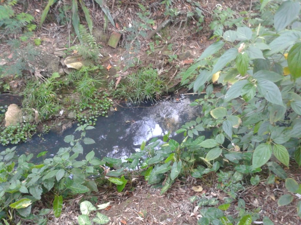 Moradores do bairro Paraíso denunciam riacho contaminado por esgoto