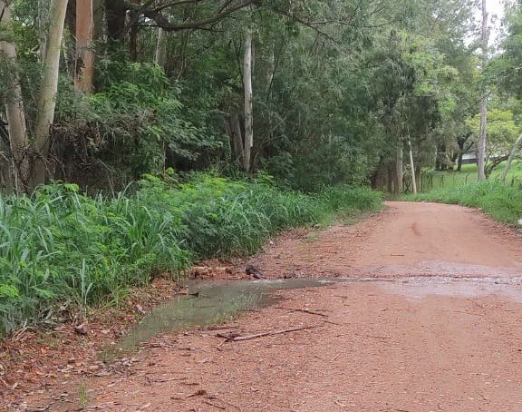 Moradores da Vila Progresso reclamam de vazamento de esgoto