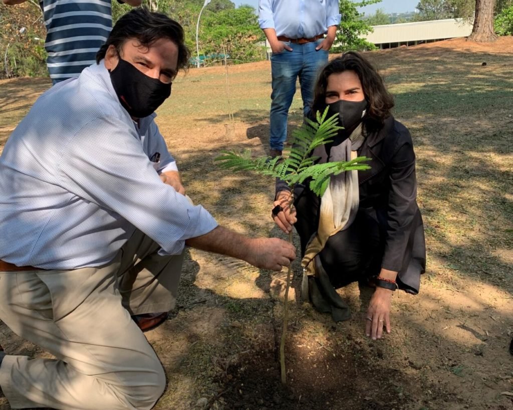 Starrett prevê plantio de 650 mudas de árvores nativas em Itu