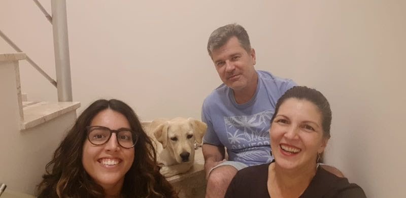 Instituto Magnus busca voluntários para socializarem futuros cães-guias