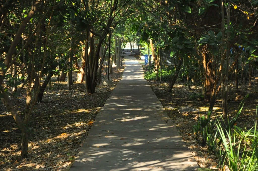 Cultura e Meio Ambiente estão cadastrando artesãos e pequenos produtores