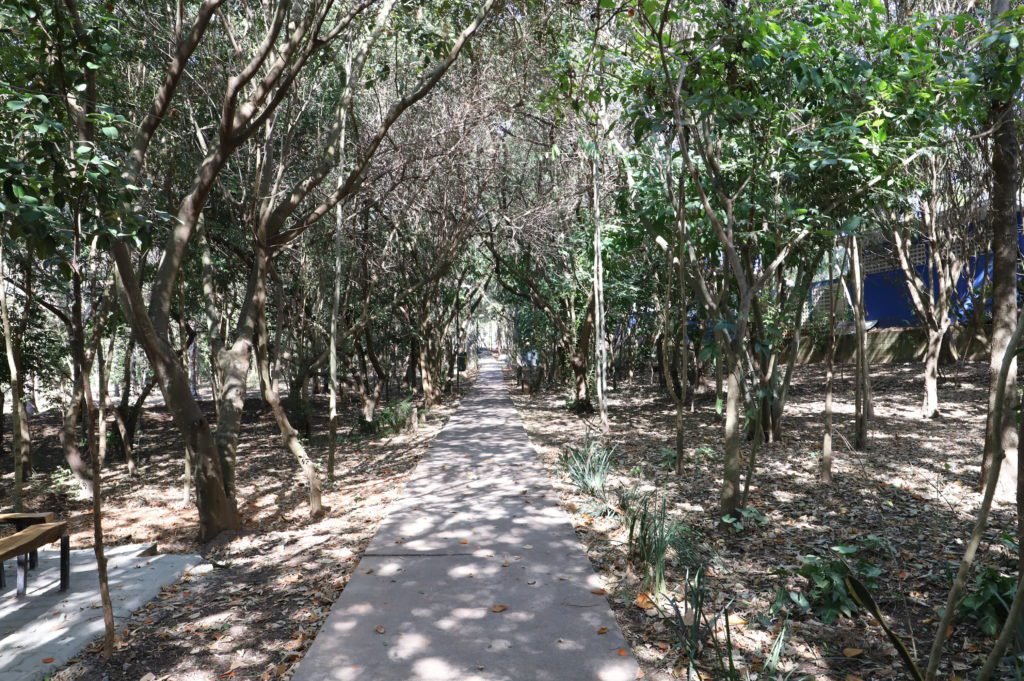 Feira EcoArte será neste sábado, no Parque Ecológico Taboão