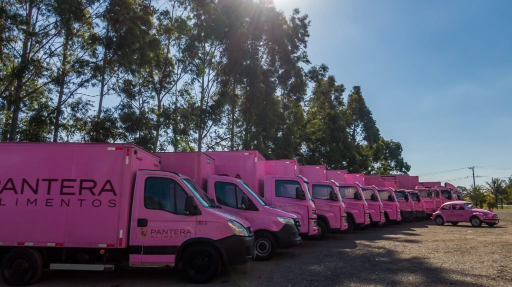 Pantera Alimentos inicia expansão para todo o Estado