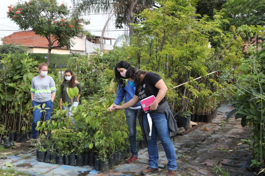 Semana do Meio Ambiente começa com troca de mudas nativas