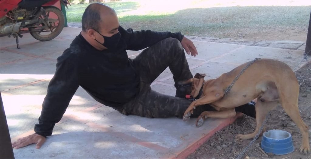 “Bolsonaro” e &#8220;Dilma&#8221; buscam por um novo lar