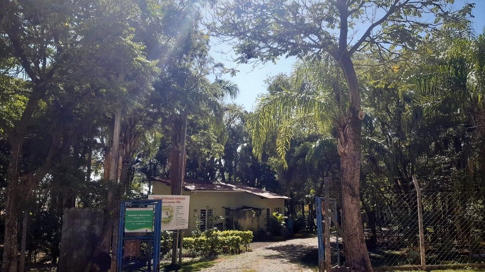 Cea Villa realiza doação de mudas de árvores no sábado