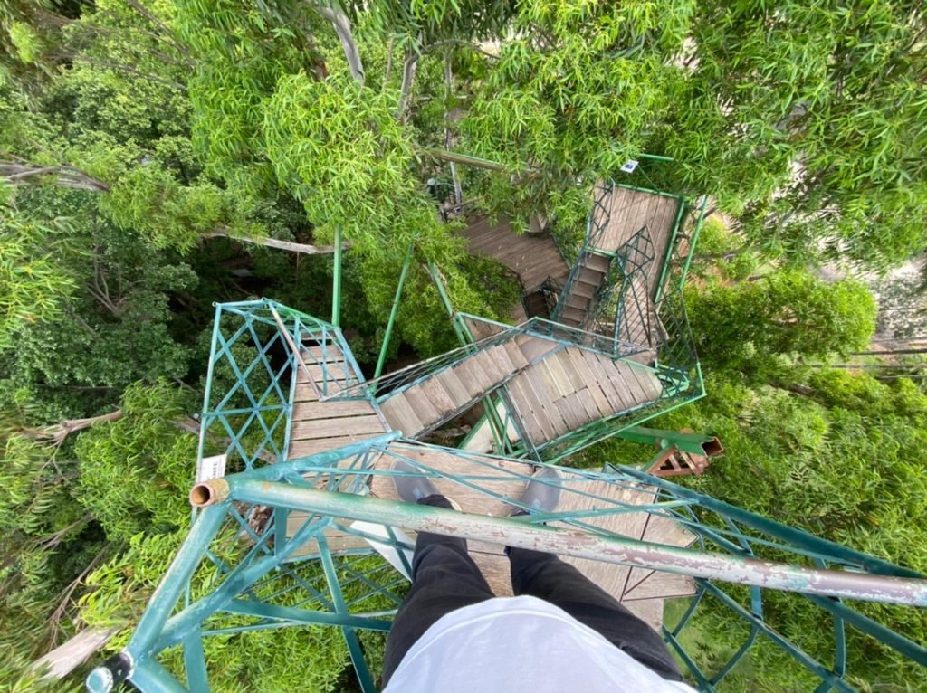 &#8220;Casa na árvore&#8221; de dez andares atrai visitantes em Itu