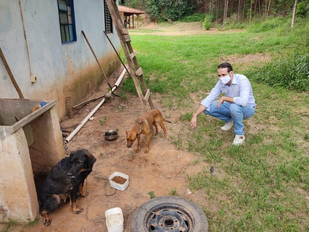 Duas cachorras e uma gata são resgatadas na zona rural de Itu