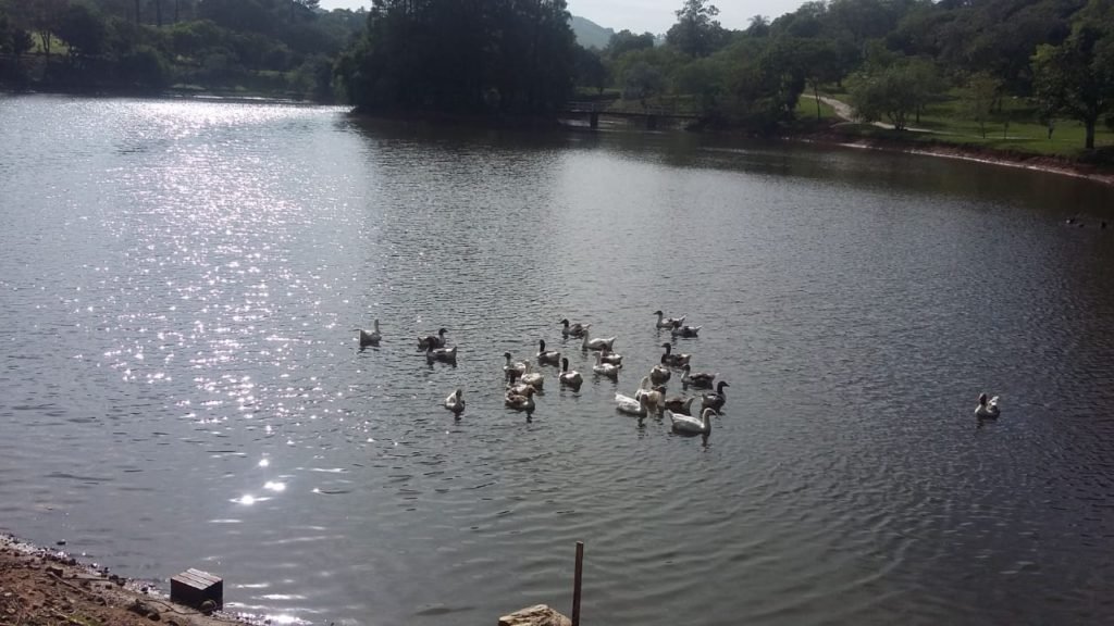 CIS muda rodízio de abastecimento de água