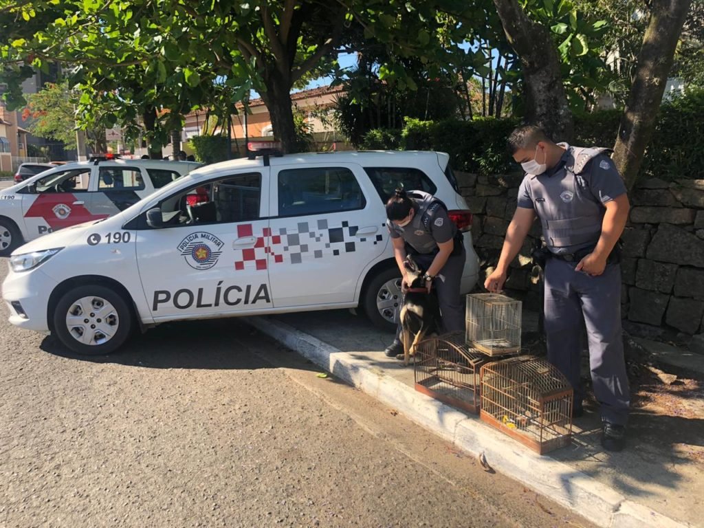 PM flagra maus tratos a animais no Jardim Aeroporto