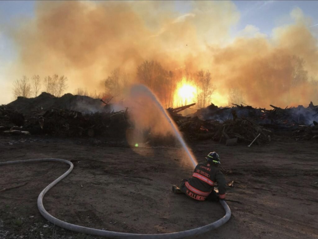 ONG e biólogas de Itu fazem campanha para ajudar o Pantanal