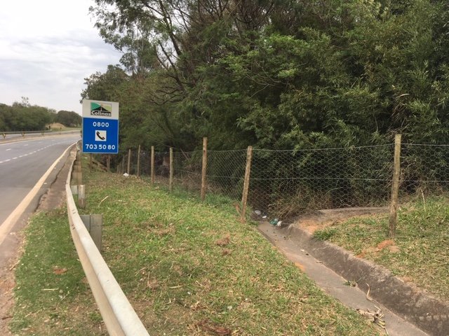 Rodovias da AB Colinas possuem passagens de fauna para animais silvestres