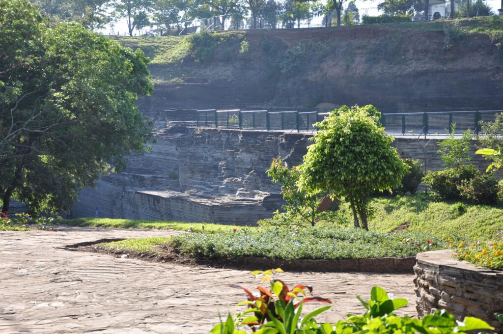 Yoga Livre terá edição especial em comemoração ao Dia da Árvore no Parque do Varvito