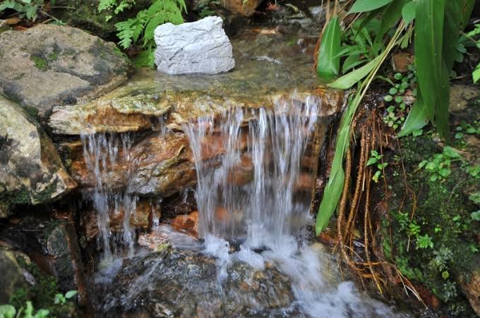 Reunião do Projeto Nascentes da Vida acontece nesta quinta-feira