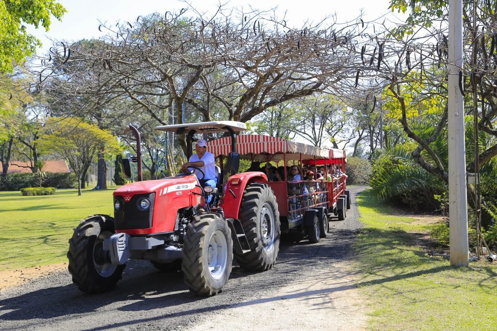 Parque Maeda reabre passeios à plantação de lichia