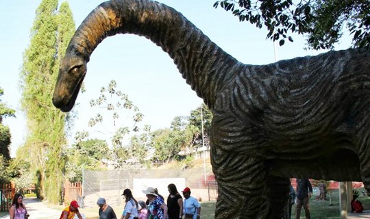 Confira opções de lazer neste Dia das Crianças