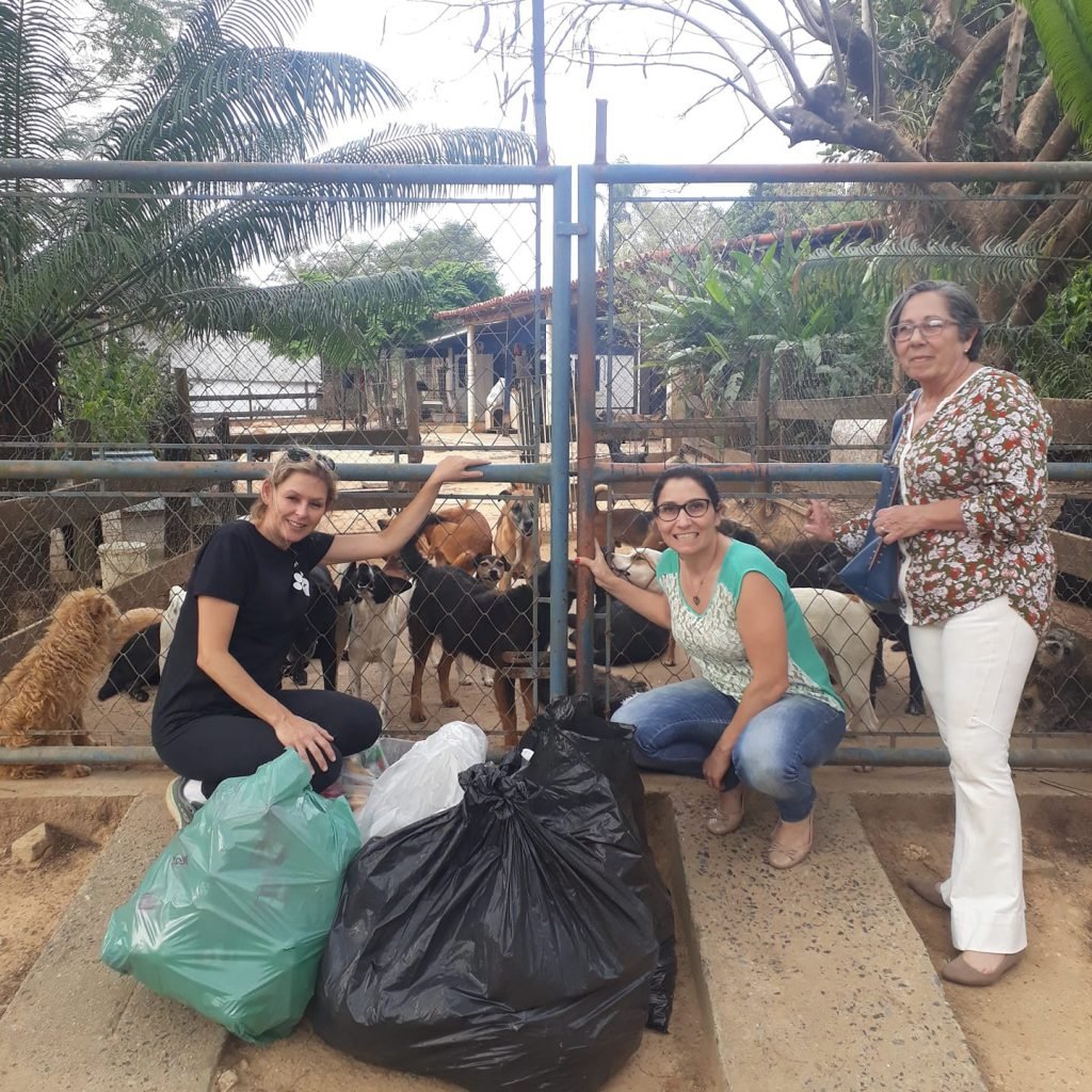 Recipientes plásticos são revertidos para alimentação de cães de ONG