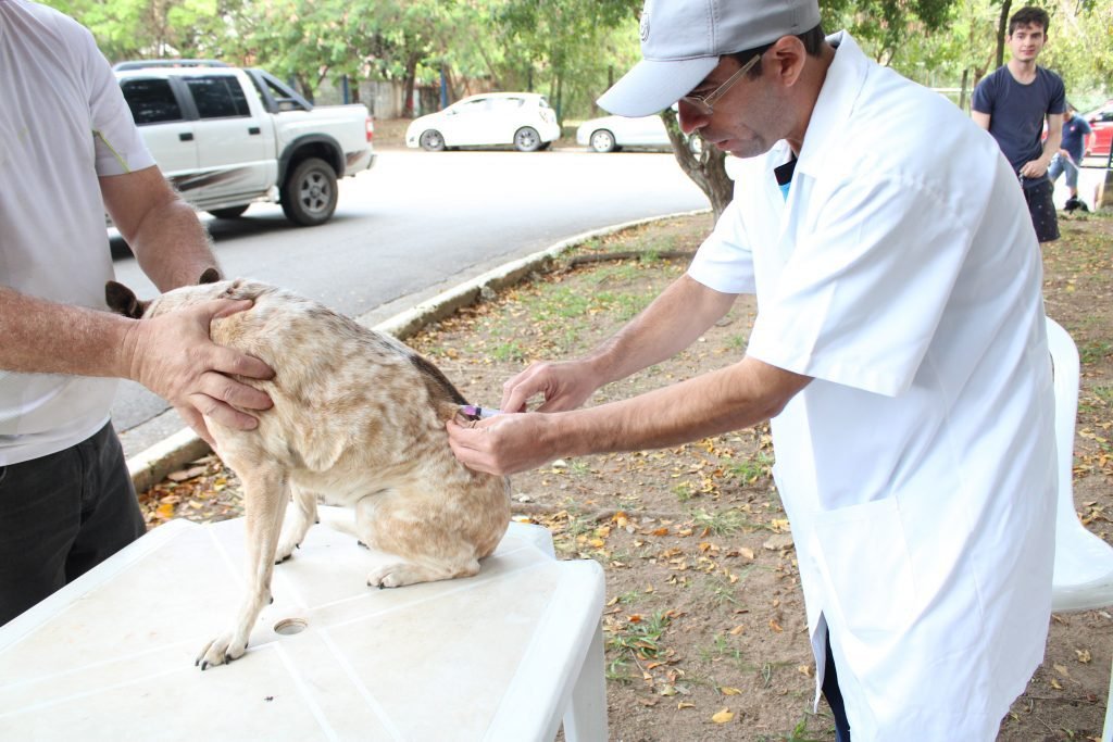 Campanha de Vacinação Antirrábica continua neste final de semana